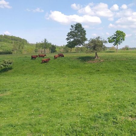 Apartmán Harzer Bauernhof Thale Exteriér fotografie