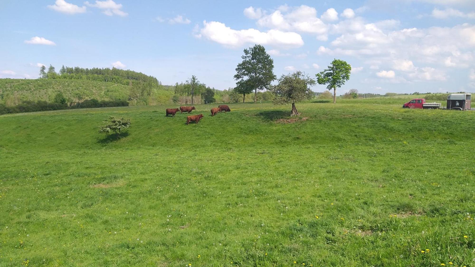Apartmán Harzer Bauernhof Thale Exteriér fotografie